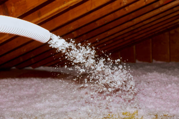 Best Cellulose Insulation in Mount Vernon, IA