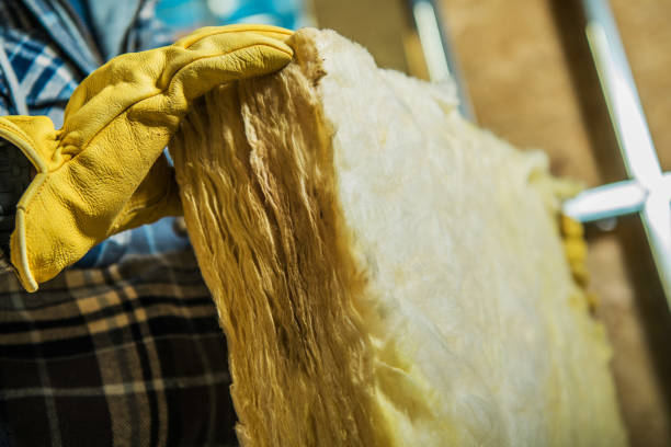Best Fiberglass Insulation in Mount Vernon, IA